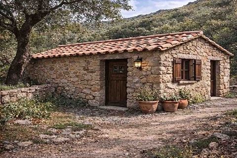 Farm i Monchique, Faro, Monchique - € 990.000 | Ref: NU_5506 - foto 4