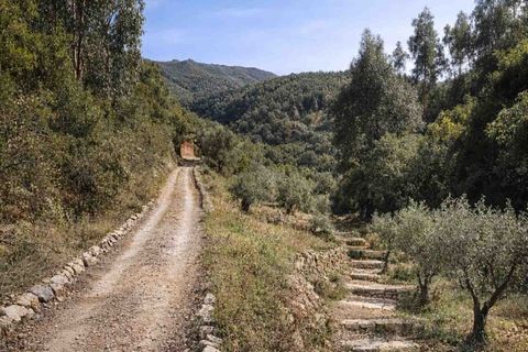 Farm i Monchique, Faro, Monchique - € 990.000 | Ref: NU_5506 - foto 5