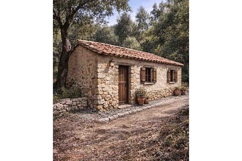 Farm i Monchique, Faro, Monchique - € 990.000 | Ref: NU_5506 - foto 6