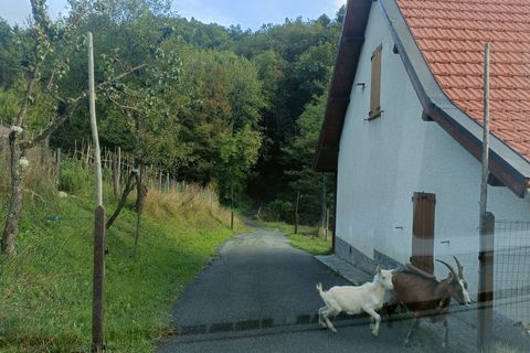 Villa a Sassello, Savona, Sassello - € 80.000 | Ref: 26490 - foto 4