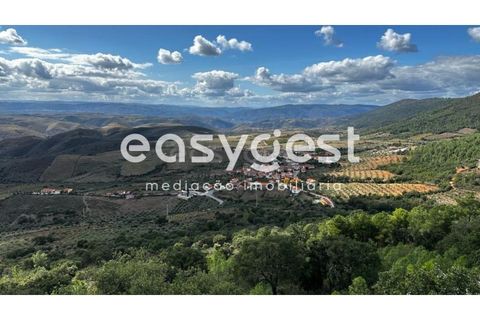 Villa a Torre de Moncorvo, Braganca, Torre de Moncorvo - € 38.000 | Ref: BG93716MG - foto 10