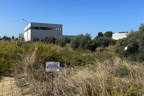 Helårsgrund i Ribera, Agrigento, Ribera - € 160.000 | Ref: T/201 - foto 4