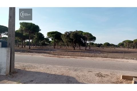 Villa a Torrao, Setubal, Torrao - € 320.000 | Ref: CAS_110 - foto 7