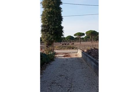 Villa a Torrao, Setubal, Torrao - € 320.000 | Ref: CAS_110 - foto 10