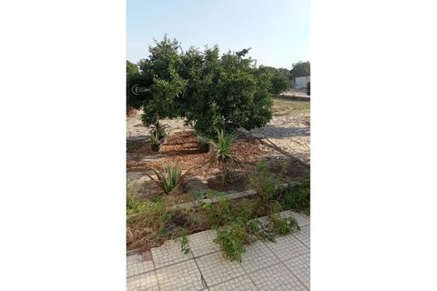 Villa a Torrao, Setubal, Torrao - € 320.000 | Ref: CAS_110 - foto 32