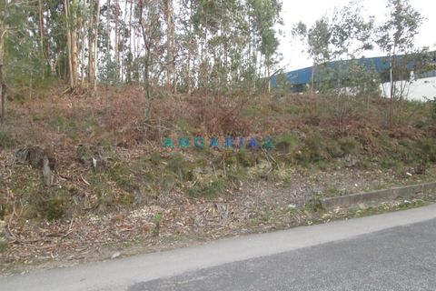 Helårsgrund i Leiria, Leiria, Leiria - € 120.000 | Ref: ANG933 - foto 5