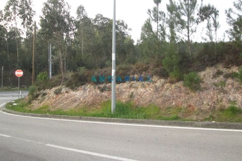Helårsgrund i Leiria, Leiria, Leiria - € 120.000 | Ref: ANG933 - foto 9