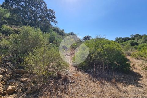 Helårsgrund i Moncarapacho, Faro, Moncarapacho - € 39.000 | Ref: 360P-1335 - foto 1