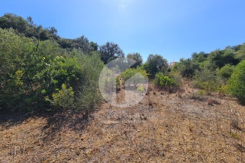 Helårsgrund i Moncarapacho, Faro, Moncarapacho - € 39.000 | Ref: 360P-1335 - foto 2