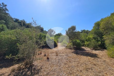 Helårsgrund i Moncarapacho, Faro, Moncarapacho - € 39.000 | Ref: 360P-1335 - foto 3