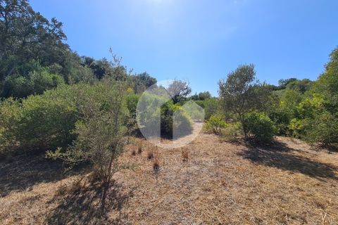 Helårsgrund i Moncarapacho, Faro, Moncarapacho - € 39.000 | Ref: 360P-1335 - foto 4