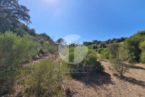 Helårsgrund i Moncarapacho, Faro, Moncarapacho - € 39.000 | Ref: 360P-1335 - foto 5