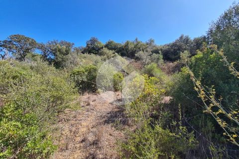 Helårsgrund i Moncarapacho, Faro, Moncarapacho - € 39.000 | Ref: 360P-1335 - foto 7