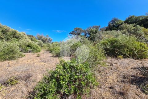 Helårsgrund i Moncarapacho, Faro, Moncarapacho - € 39.000 | Ref: 360P-1335 - foto 8