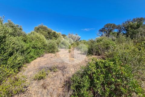 Helårsgrund i Moncarapacho, Faro, Moncarapacho - € 39.000 | Ref: 360P-1335 - foto 9