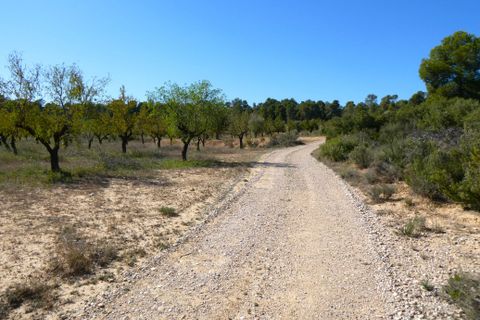 Finca i Maella, Zaragoza, Maella - € 66.000 | Ref: 0947 - foto 33