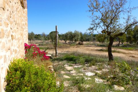 Finca i Maella, Zaragoza, Maella - € 66.000 | Ref: 0947 - foto 23