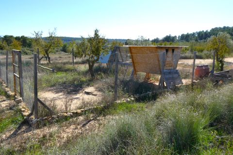 Finca i Maella, Zaragoza, Maella - € 66.000 | Ref: 0947 - foto 27