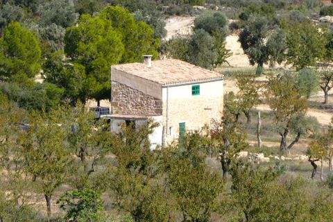 Finca i Maella, Zaragoza, Maella - € 66.000 | Ref: 0947 - foto 37
