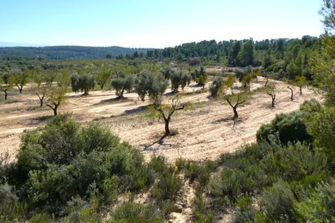 Finca i Maella, Zaragoza, Maella - € 66.000 | Ref: 0947 - foto 35