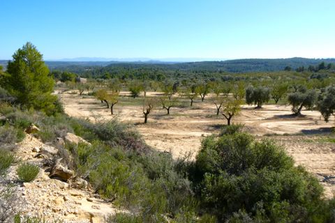 Finca i Maella, Zaragoza, Maella - € 66.000 | Ref: 0947 - foto 34