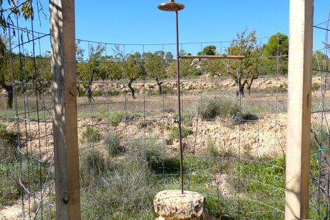 Finca i Maella, Zaragoza, Maella - € 66.000 | Ref: 0947 - foto 25