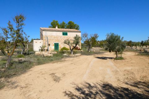 Finca i Maella, Zaragoza, Maella - € 66.000 | Ref: 0947 - foto 13