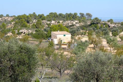 Finca i Maella, Zaragoza, Maella - € 66.000 | Ref: 0947 - foto 38