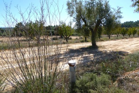 Finca i Maella, Zaragoza, Maella - € 66.000 | Ref: 0947 - foto 9