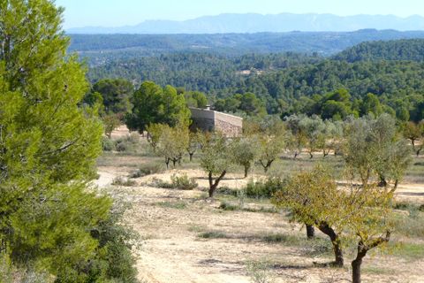 Finca i Maella, Zaragoza, Maella - € 66.000 | Ref: 0947 - foto 36