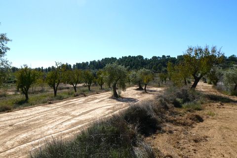 Finca i Maella, Zaragoza, Maella - € 66.000 | Ref: 0947 - foto 11