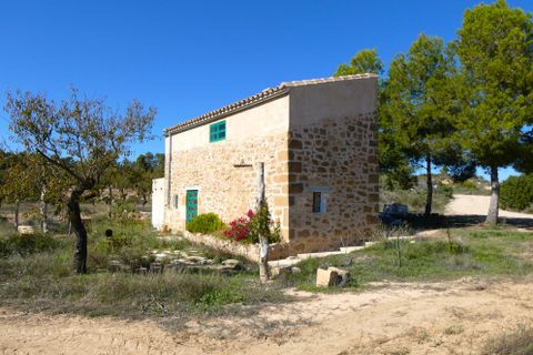Finca i Maella, Zaragoza, Maella - € 66.000 | Ref: 0947 - foto 10