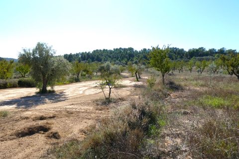 Finca i Maella, Zaragoza, Maella - € 66.000 | Ref: 0947 - foto 28
