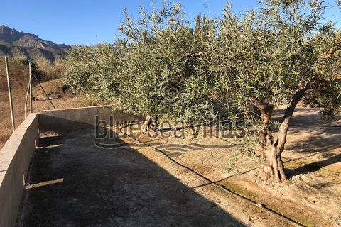 Villa i Mojacar, Almeria, Mojacar - € 398.000 | Ref: BSV-S-1496 - foto 23