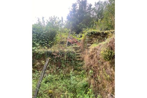 Helårsgrund i Arcos de Valdevez, Viana do Castelo, Arcos de Valdevez - € 59.000 | Ref: AVV-2245-MA-1023 - foto 6