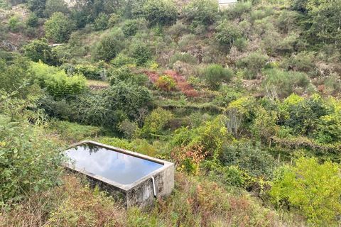 Helårsgrund i Arcos de Valdevez, Viana do Castelo, Arcos de Valdevez - € 59.000 | Ref: AVV-2245-MA-1023 - foto 8