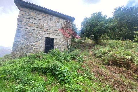 Helårsgrund i Arcos de Valdevez, Viana do Castelo, Arcos de Valdevez - € 59.000 | Ref: AVV-2245-MA-1023 - foto 11