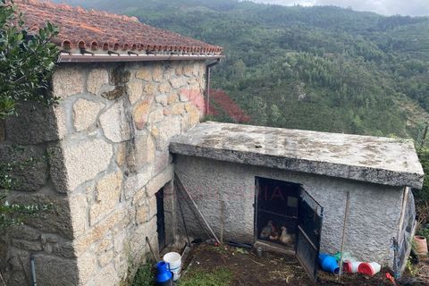 Helårsgrund i Arcos de Valdevez, Viana do Castelo, Arcos de Valdevez - € 59.000 | Ref: AVV-2245-MA-1023 - foto 12