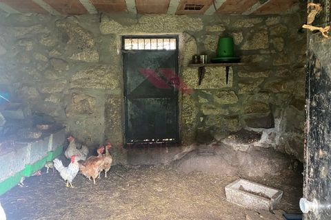 Helårsgrund i Arcos de Valdevez, Viana do Castelo, Arcos de Valdevez - € 59.000 | Ref: AVV-2245-MA-1023 - foto 13