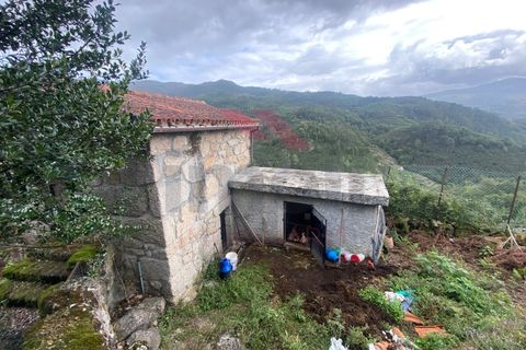 Helårsgrund i Arcos de Valdevez, Viana do Castelo, Arcos de Valdevez - € 59.000 | Ref: AVV-2245-MA-1023 - foto 14