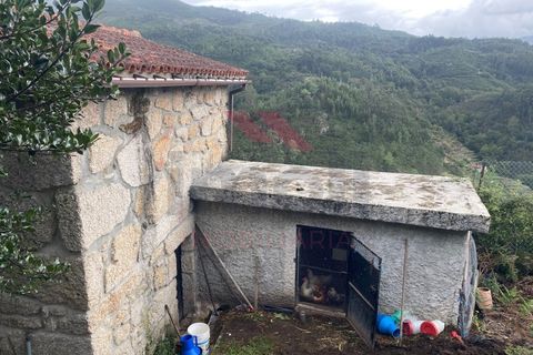 Helårsgrund i Arcos de Valdevez, Viana do Castelo, Arcos de Valdevez - € 59.000 | Ref: AVV-2245-MA-1023 - foto 17