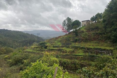 Helårsgrund i Arcos de Valdevez, Viana do Castelo, Arcos de Valdevez - € 59.000 | Ref: AVV-2245-MA-1023 - foto 2