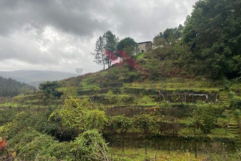 Helårsgrund i Arcos de Valdevez, Viana do Castelo, Arcos de Valdevez - € 59.000 | Ref: AVV-2245-MA-1023 - foto 19