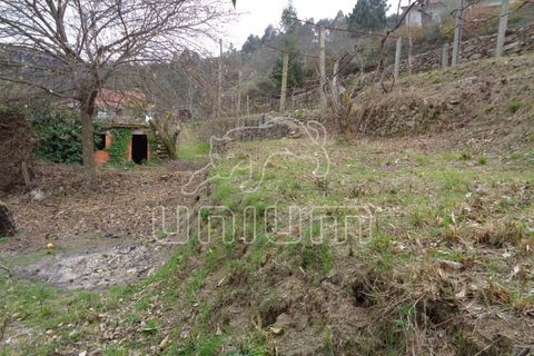 Helårsgrund i Ponte de Lima, Viana do Castelo, Ponte de Lima - € 45.000 | Ref: R4813 - foto 2