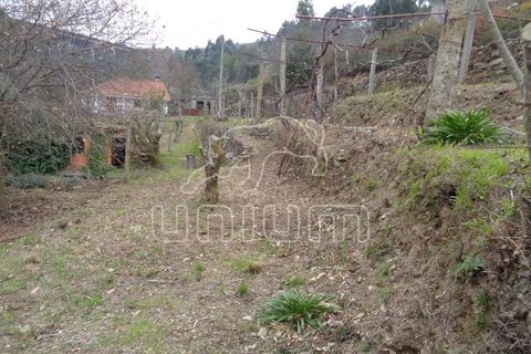 Helårsgrund i Ponte de Lima, Viana do Castelo, Ponte de Lima - € 45.000 | Ref: R4813 - foto 3