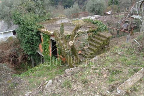 Helårsgrund i Ponte de Lima, Viana do Castelo, Ponte de Lima - € 45.000 | Ref: R4813 - foto 4