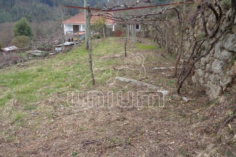 Helårsgrund i Ponte de Lima, Viana do Castelo, Ponte de Lima - € 45.000 | Ref: R4813 - foto 5