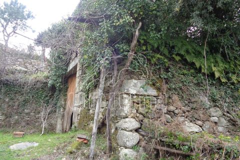 Helårsgrund i Ponte de Lima, Viana do Castelo, Ponte de Lima - € 45.000 | Ref: R4813 - foto 7