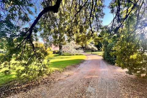 Villa en Elvas, Portalegre, Elvas - € 8.500.000 | Ref: PALACETE005 - photo 46