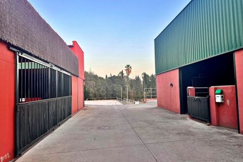 Villa en Elvas, Portalegre, Elvas - € 8.500.000 | Ref: PALACETE005 - photo 49